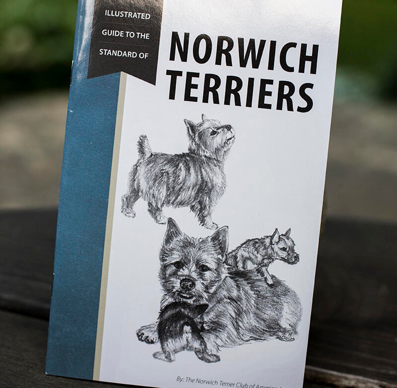 Illustrated Guide to the Standard of Norwich Terriers