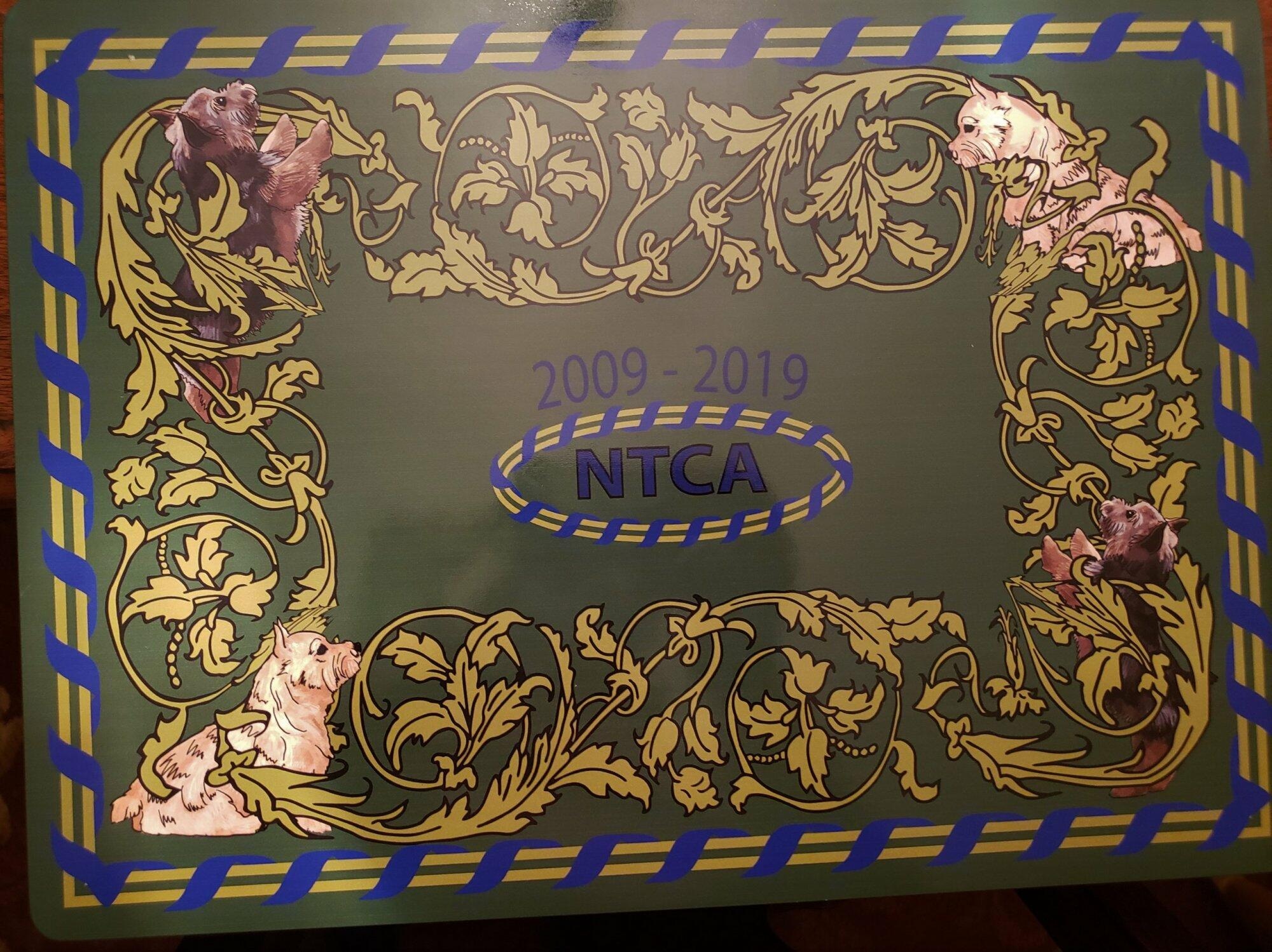 Norwich Dog Bowl Mat (Blue & Green)