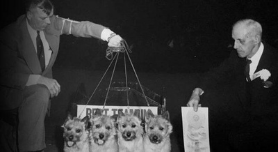 historyslide-1024×357