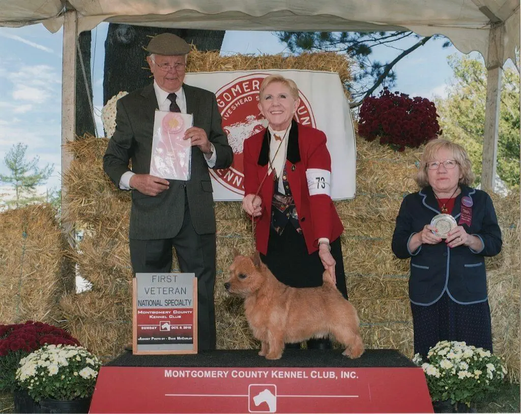 BOSSVSW_1ST Vet Dog 7-10 years