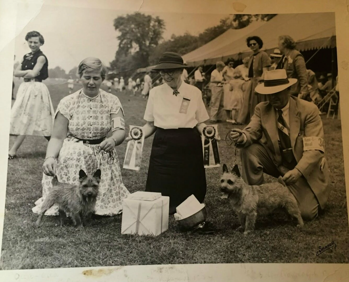 RackMultipart20160524-6953-t2jcer