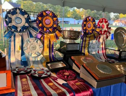 2025 Trophy Fundraising