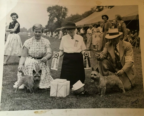 RackMultipart20160524-6953-t2jcer