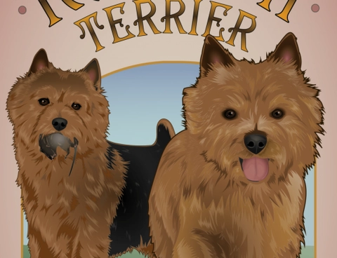 Celebrating the Accomplishments of Our Norwich in 2023!