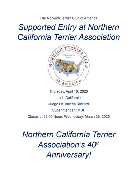 Screenshot 2025-03-12 152247