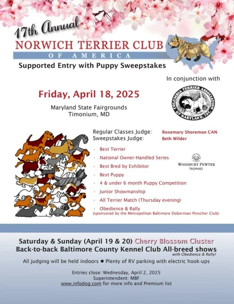 Screenshot 2025-03-12 152312