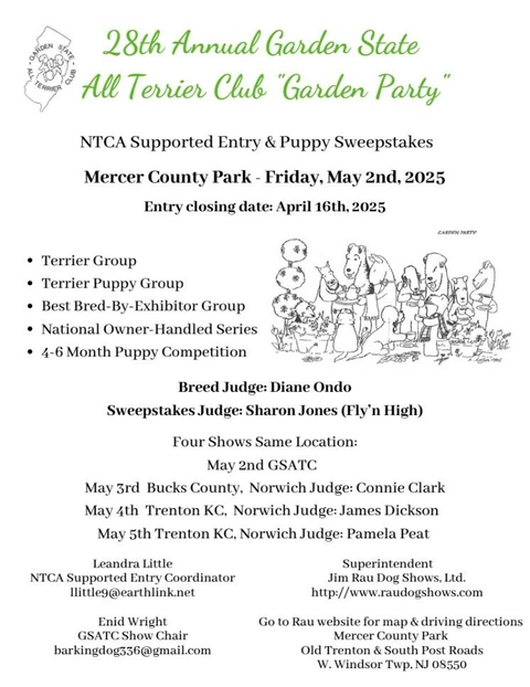 Screenshot 2025-03-12 152335