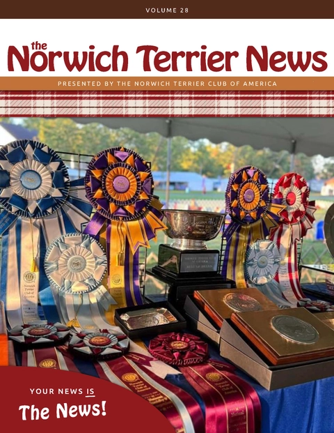 NTN Vol 28 web version_Page_01